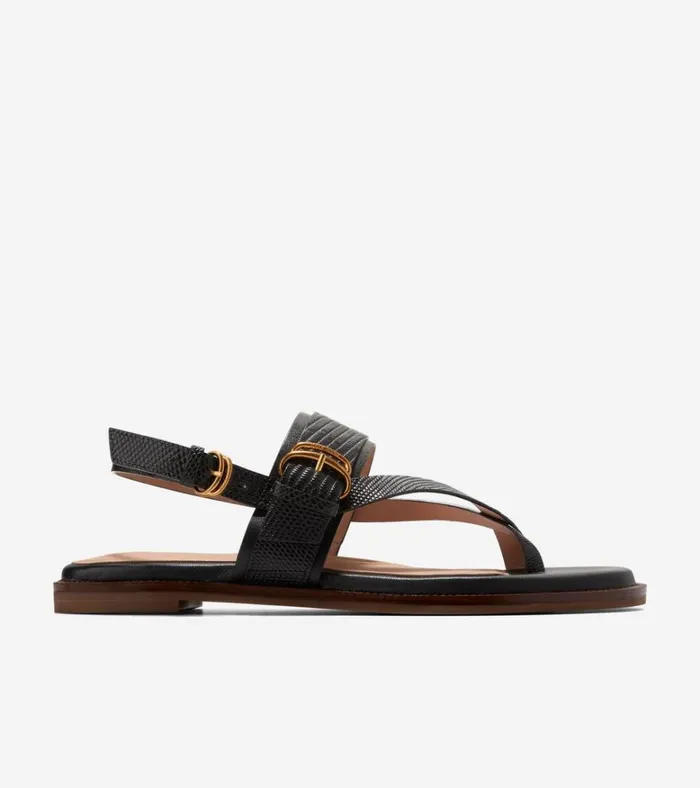 Anica Lux Buckle Sandals Black Women Cole Haan Sandals