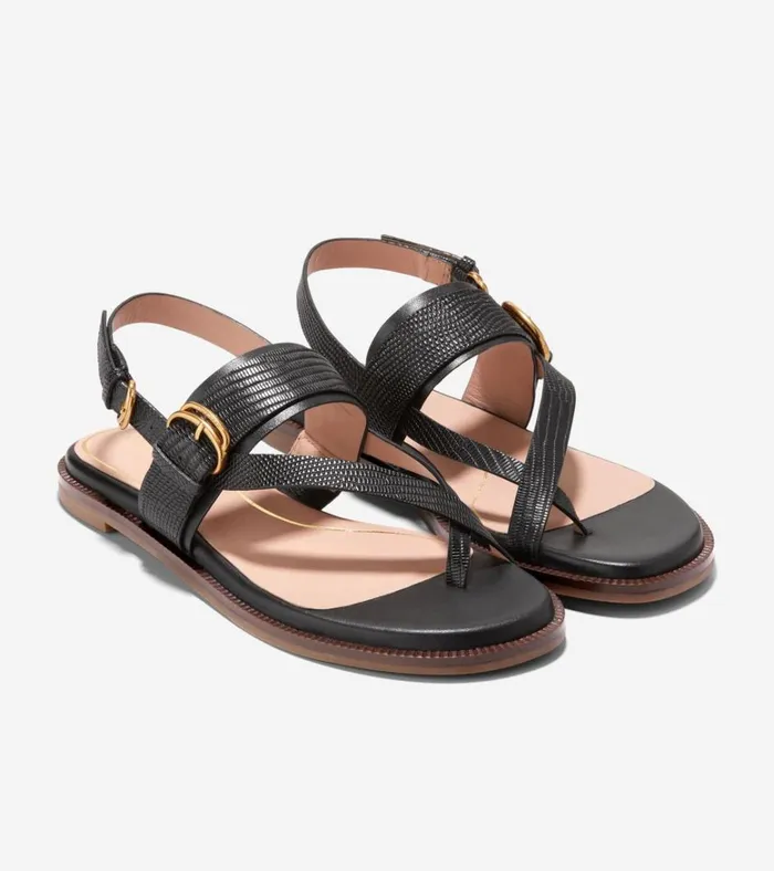 Anica Lux Buckle Sandals Black Women Cole Haan Sandals