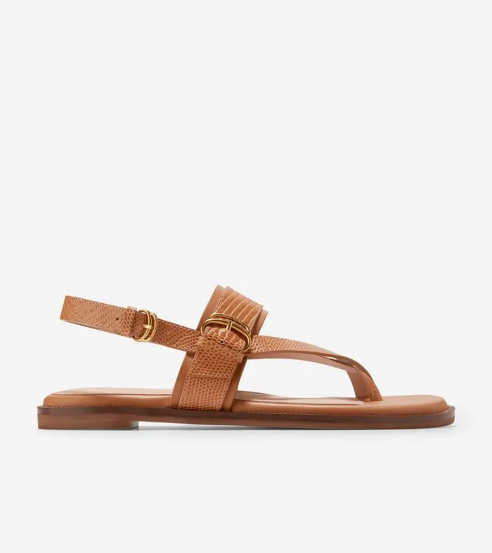Anica Lux Buckle Sandals Pecan Brown Women Cole Haan Sandals