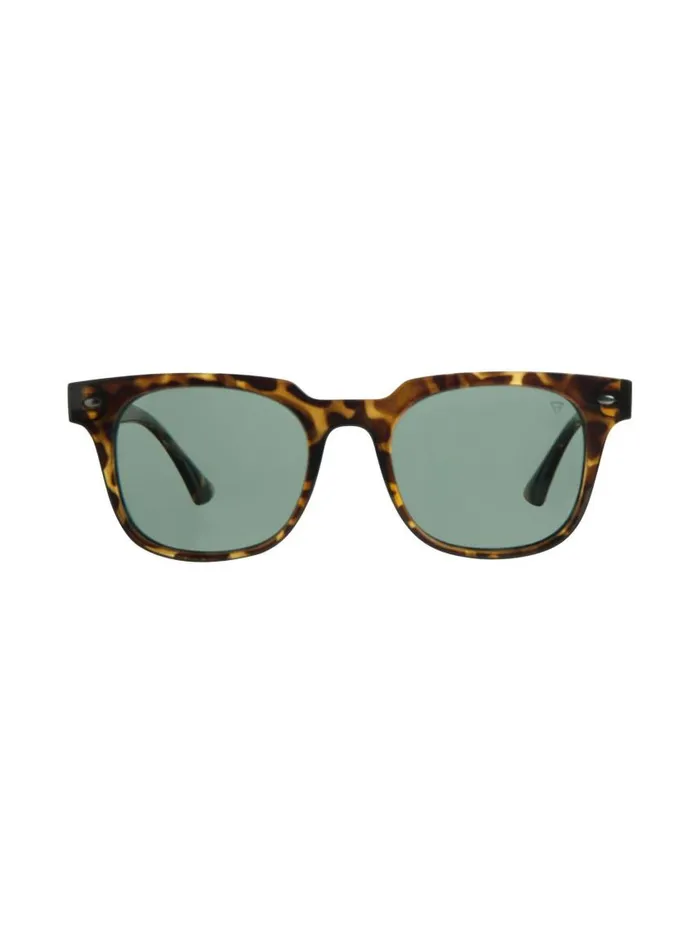 Brunotti Sunglasses Women Kerio 1 Unisex Sunglasses Brown