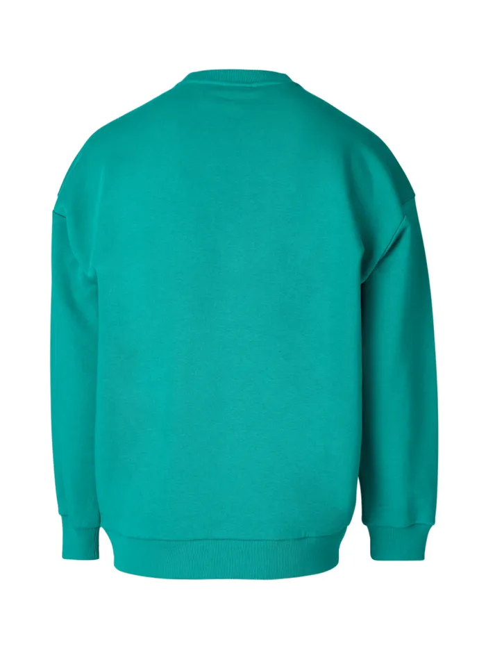 Brunotti Sweaters and Hoodies Men SunirRSweater Green