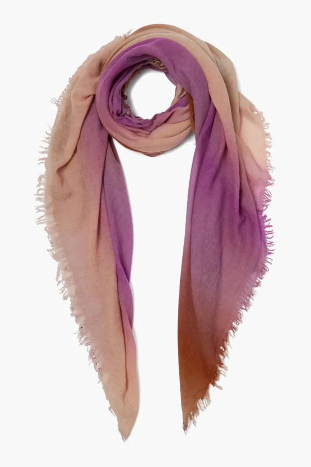 Chan Luu 100 Cashmere Scarf Orchid Ombr Women Scarves