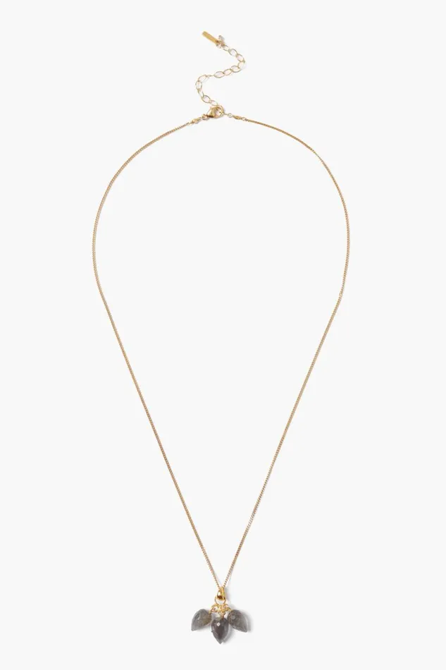 Chan Luu Delphine Necklace Labradorite Women Necklaces
