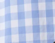 Citizens Of Humanity Kayla Shirt Bluesky Gingham Women Tops