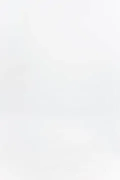 Knitwear Women MISBHV Knitted Seamless Mini Dress Black