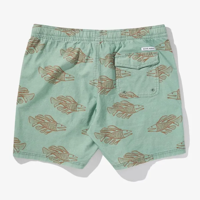 Men Banks Journal Boardshorts Scales Boardshort Basil