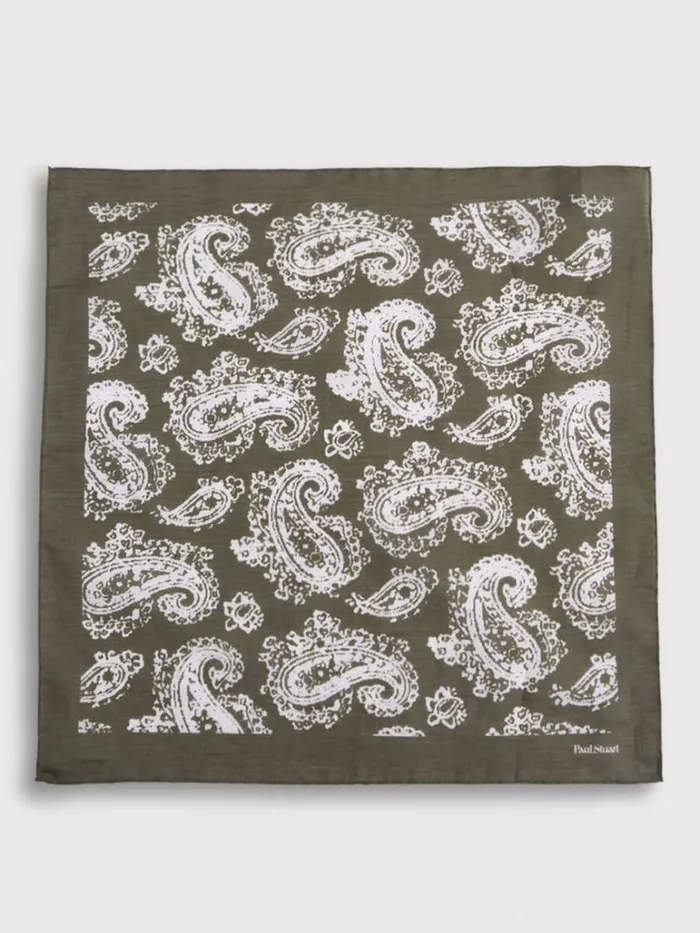 Pocket Squares Mens Paul Stuart Tossed Paisley Print Pocket Square Navy