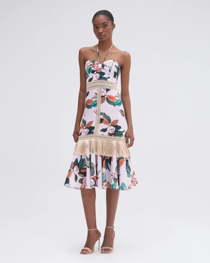 Ready To Wear Magnolia Fitted Midi Dress PatBO Dresses and Jumpsuits