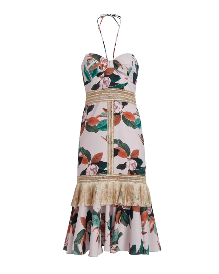 Ready To Wear Magnolia Fitted Midi Dress PatBO Dresses and Jumpsuits
