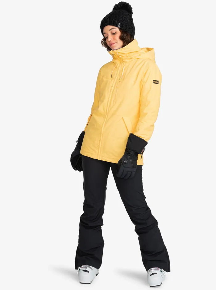 Roxy Snow Pants Rising High Technical Snow Pants True Black 8211 Womens