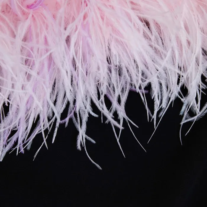 Self Portrait Dresses Black Crepe Feather Mini Dress 8211 Women Self Portrait Dresses Black Crepe Feather Mini Dress 8211 Women