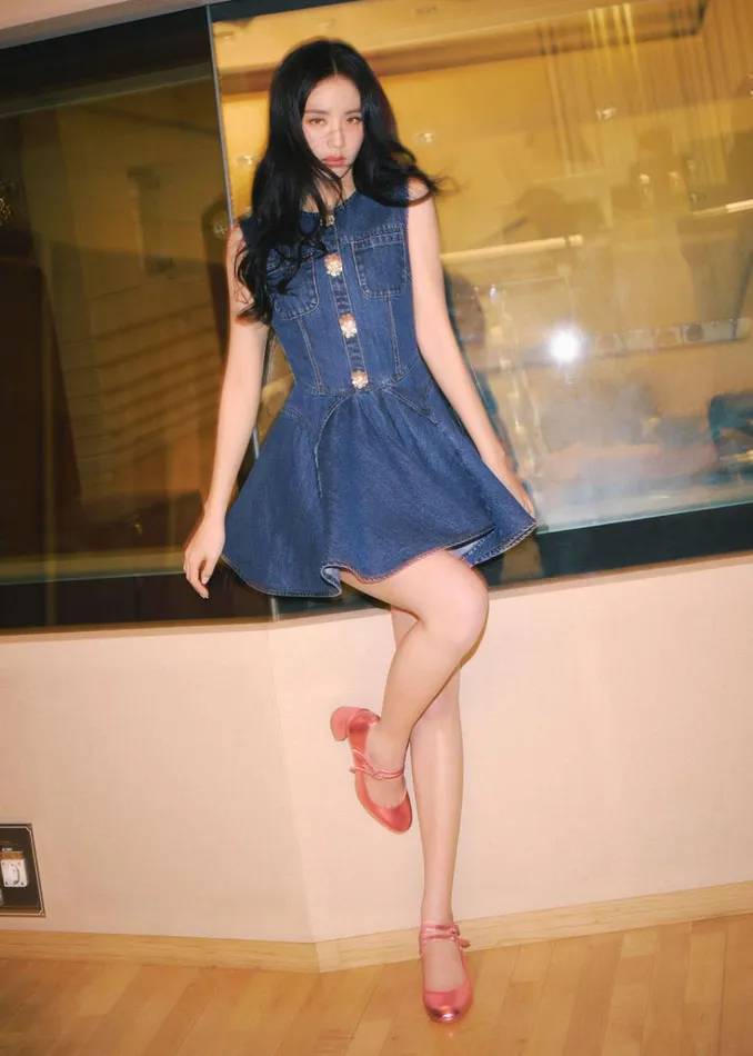 Self Portrait Dresses Denim Skater Mini Dress 8211 Women Self Portrait Dresses Denim Skater Mini Dress 8211 Women