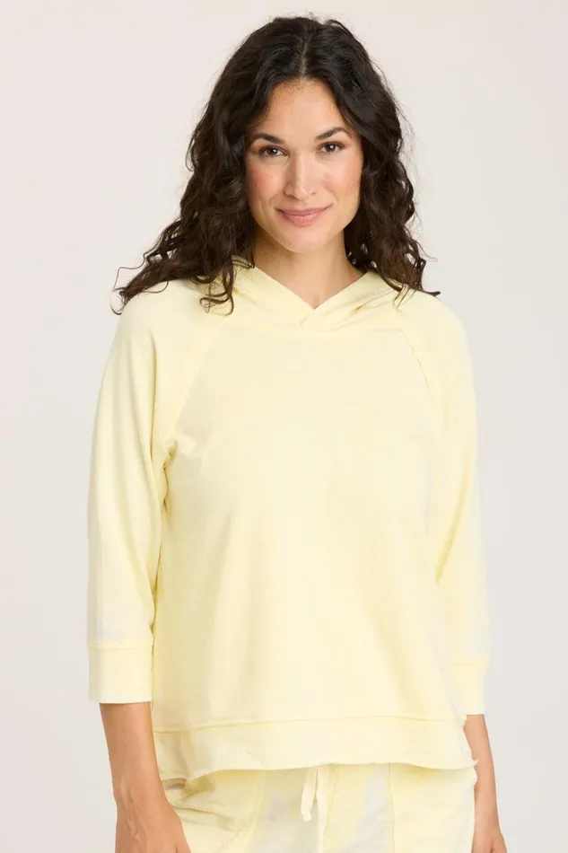 Shula Hoodie Illume Burnout Clothing XCVI Sweatshirts