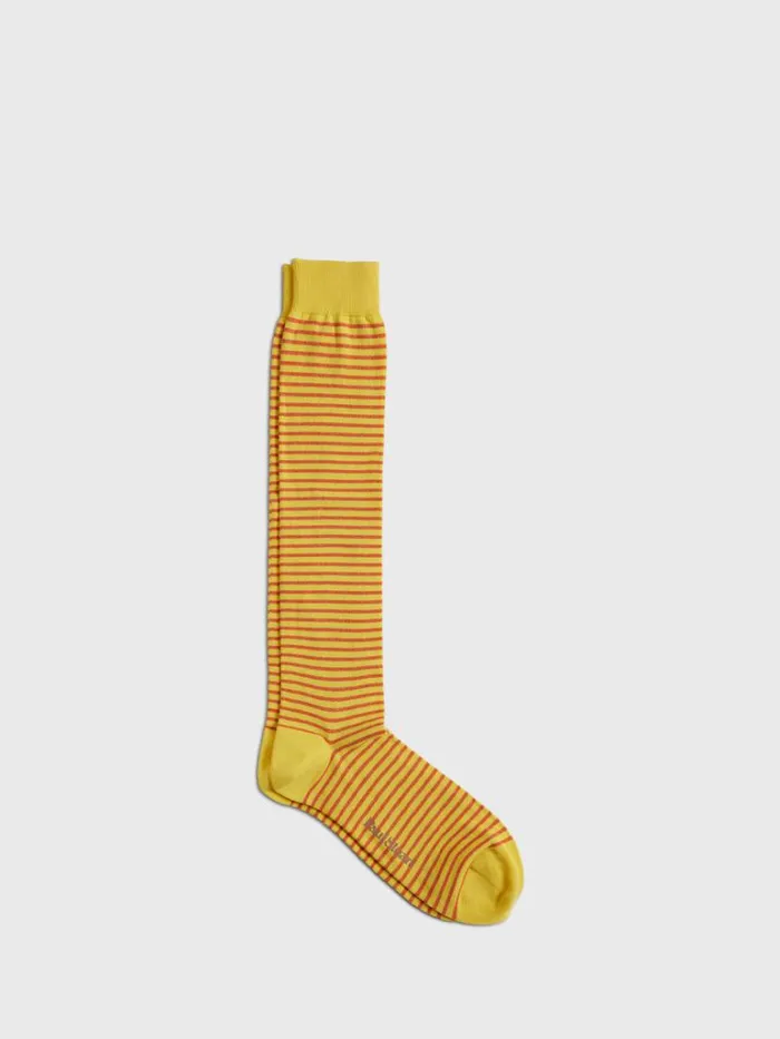Socks Mens Paul Stuart Horizontal Stripe Sock Navy