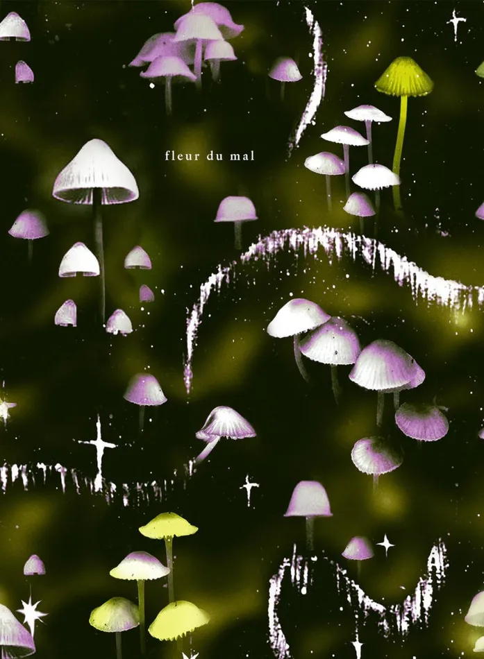 TShirts and Short Sleeves LingerieClothing Fleur Du Mal Ethereal Mushroom Short Sleeve PJ Top Ethereal Mushroom Print