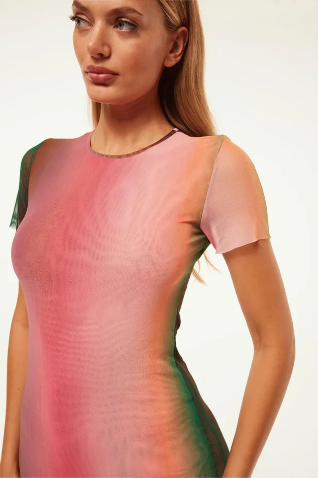 Women MISA Los Angeles Dresses VANESSA DRESS Cali Ombre